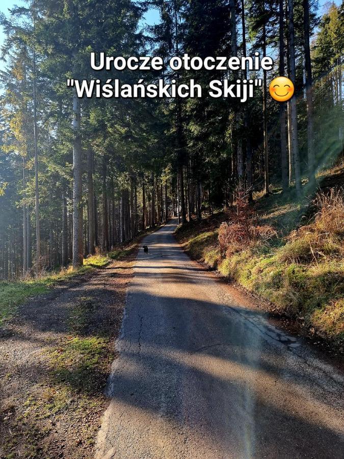 Apartament Wislanskie Skije Екстериор снимка